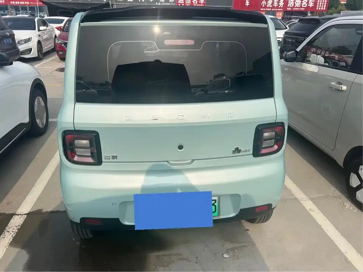 Panda 2025 Panda Mini 210km - Energetic Bear — миниатюра 7