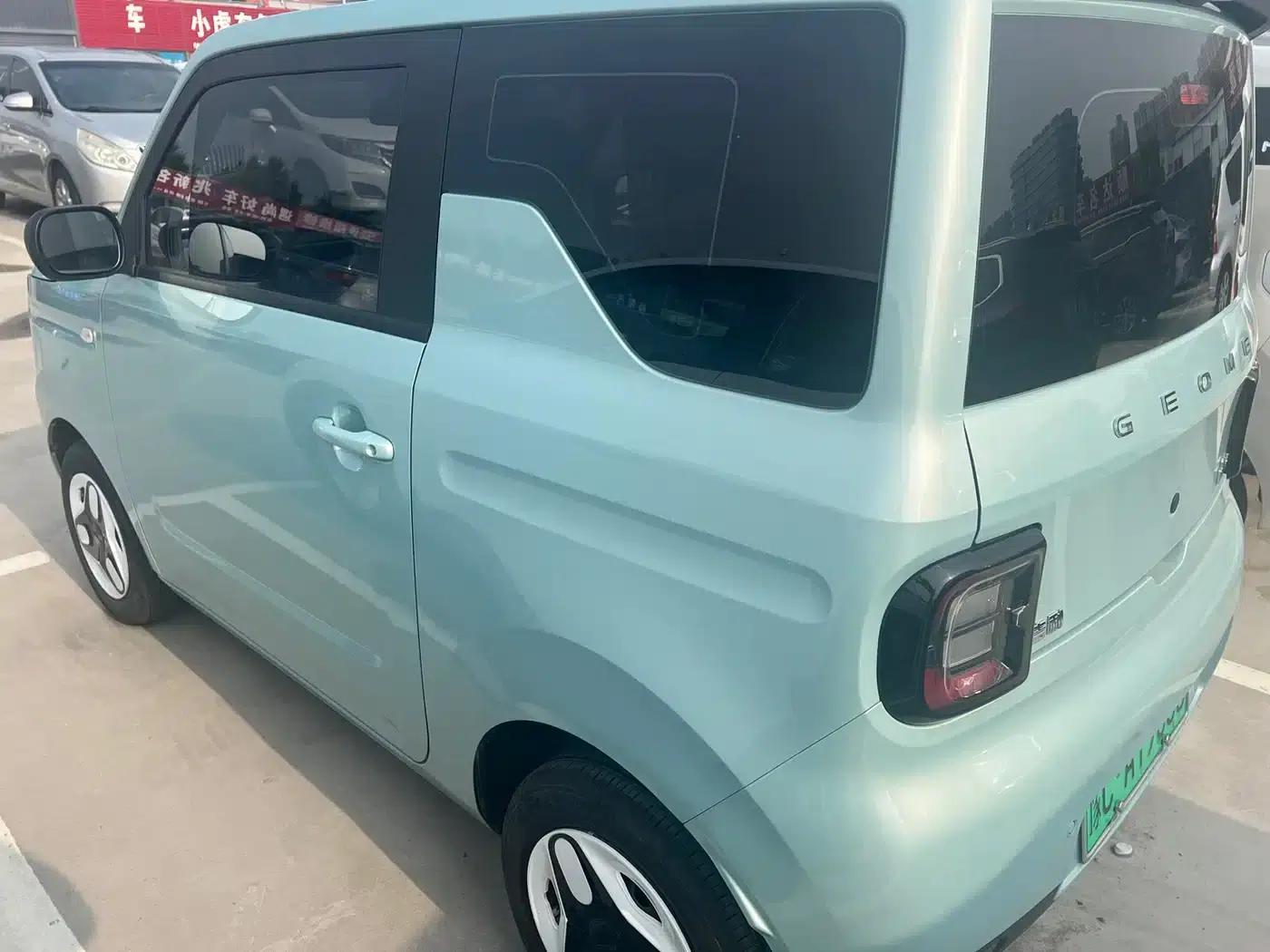 Panda 2025 Panda Mini 210km - Energetic Bear — миниатюра 8