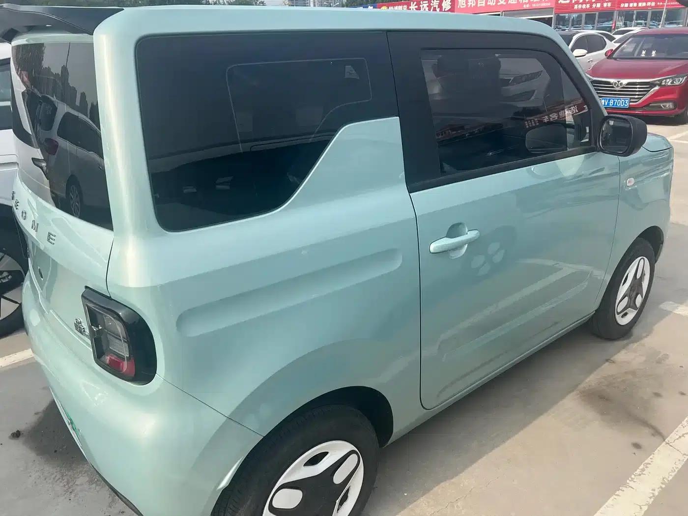 Panda 2025 Panda Mini 210km - Energetic Bear — миниатюра 9
