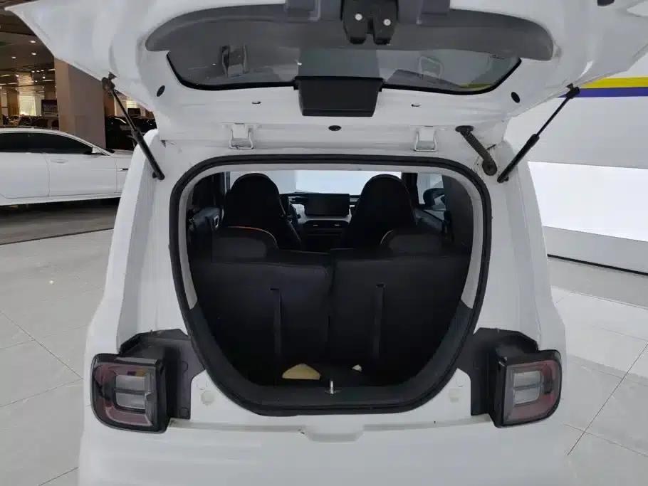 Panda 2024 Panda Mini 200km Endurance Bear — миниатюра 4