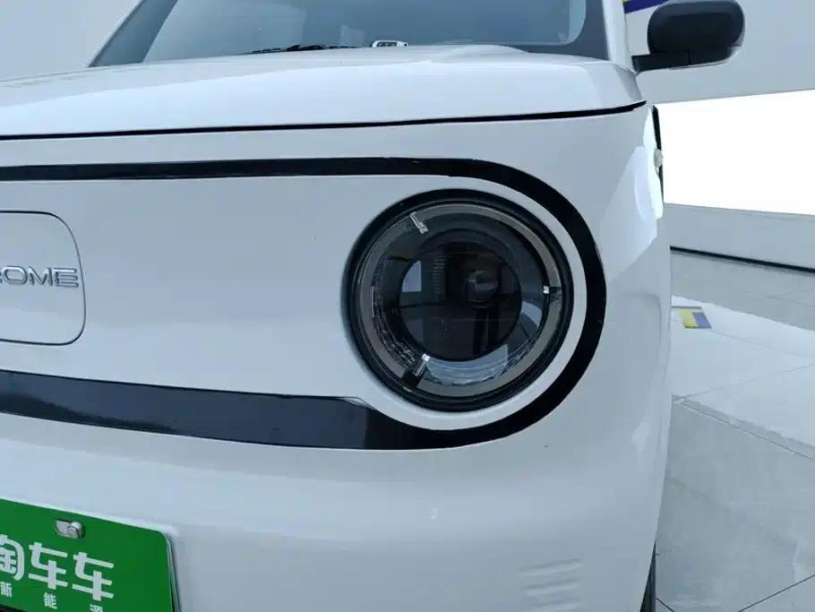 Panda 2024 Panda Mini 200km Endurance Bear — миниатюра 5