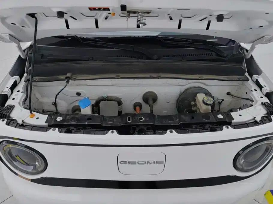 Panda 2024 Panda Mini 200km Endurance Bear — миниатюра 10