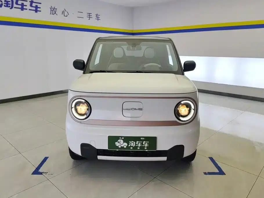 Panda 2024 Panda Mini 200km Endurance Bear — миниатюра 2