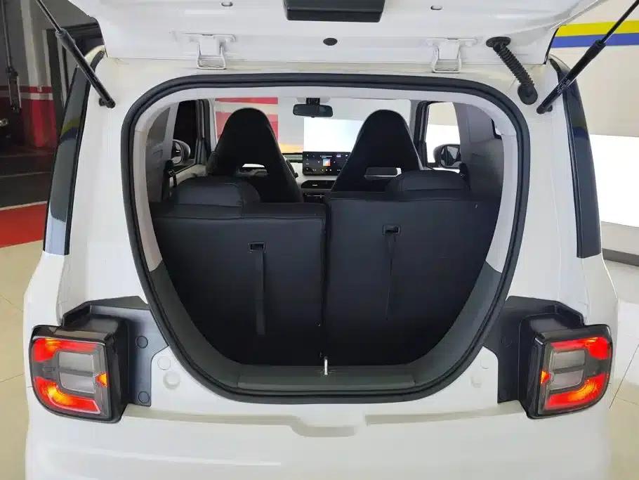 Panda 2024 Panda Mini 200km Endurance Bear — миниатюра 4