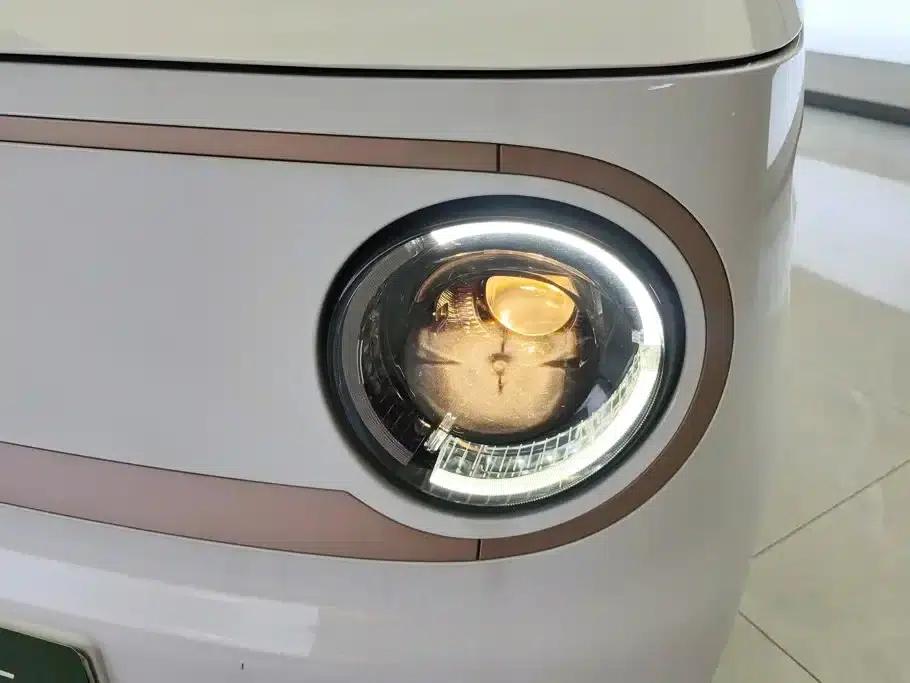 Panda 2024 Panda Mini 200km Endurance Bear — миниатюра 5