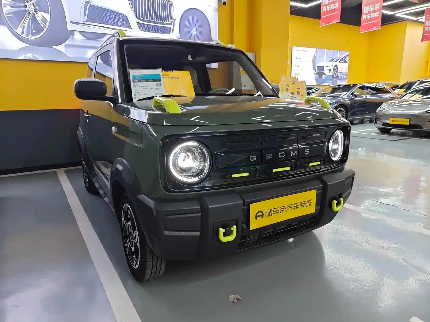 Panda 2025 Model 210km Panda Rider — миниатюра 1