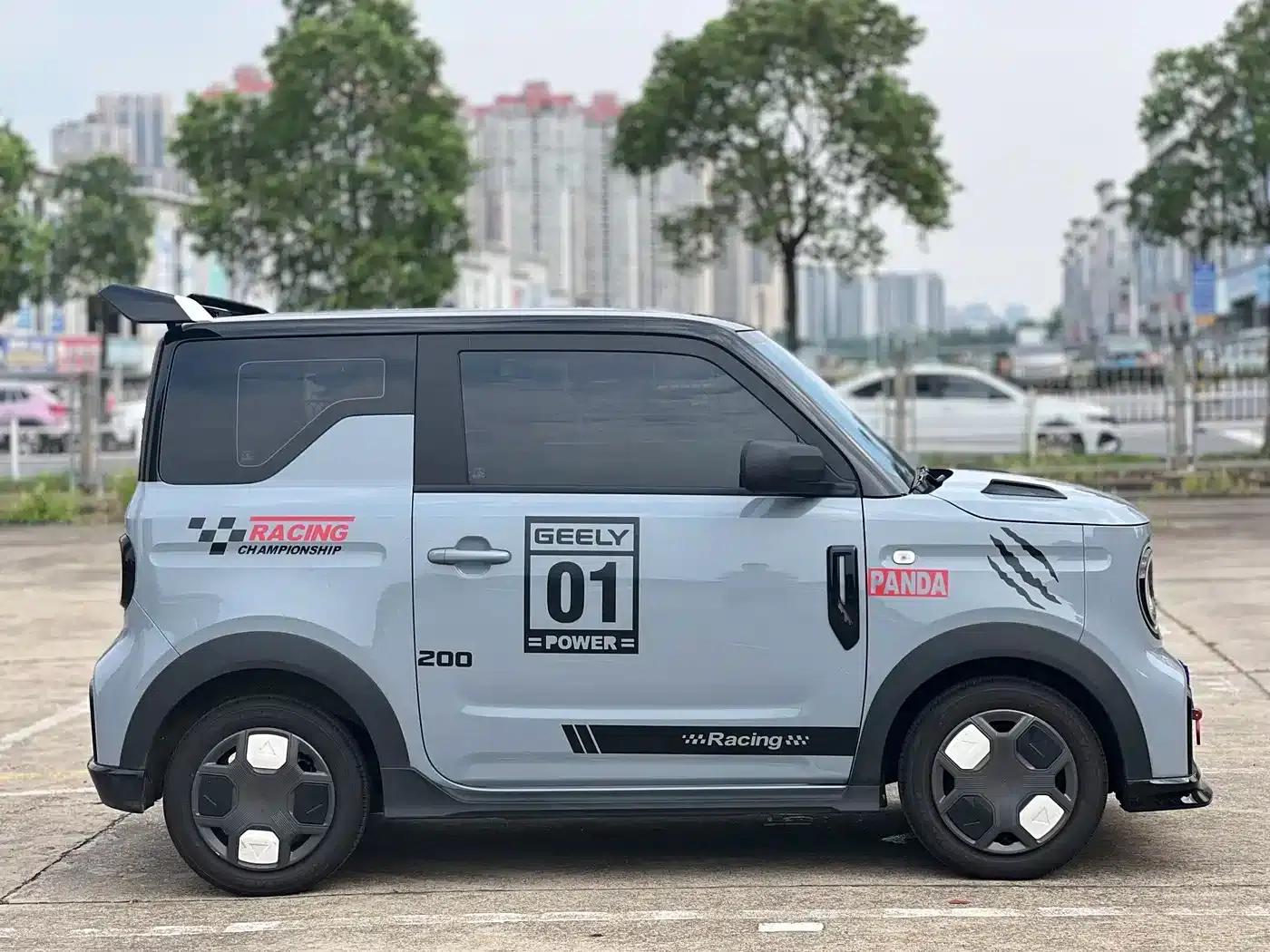 Panda 2025 Model 210km Panda Gokart — миниатюра 12