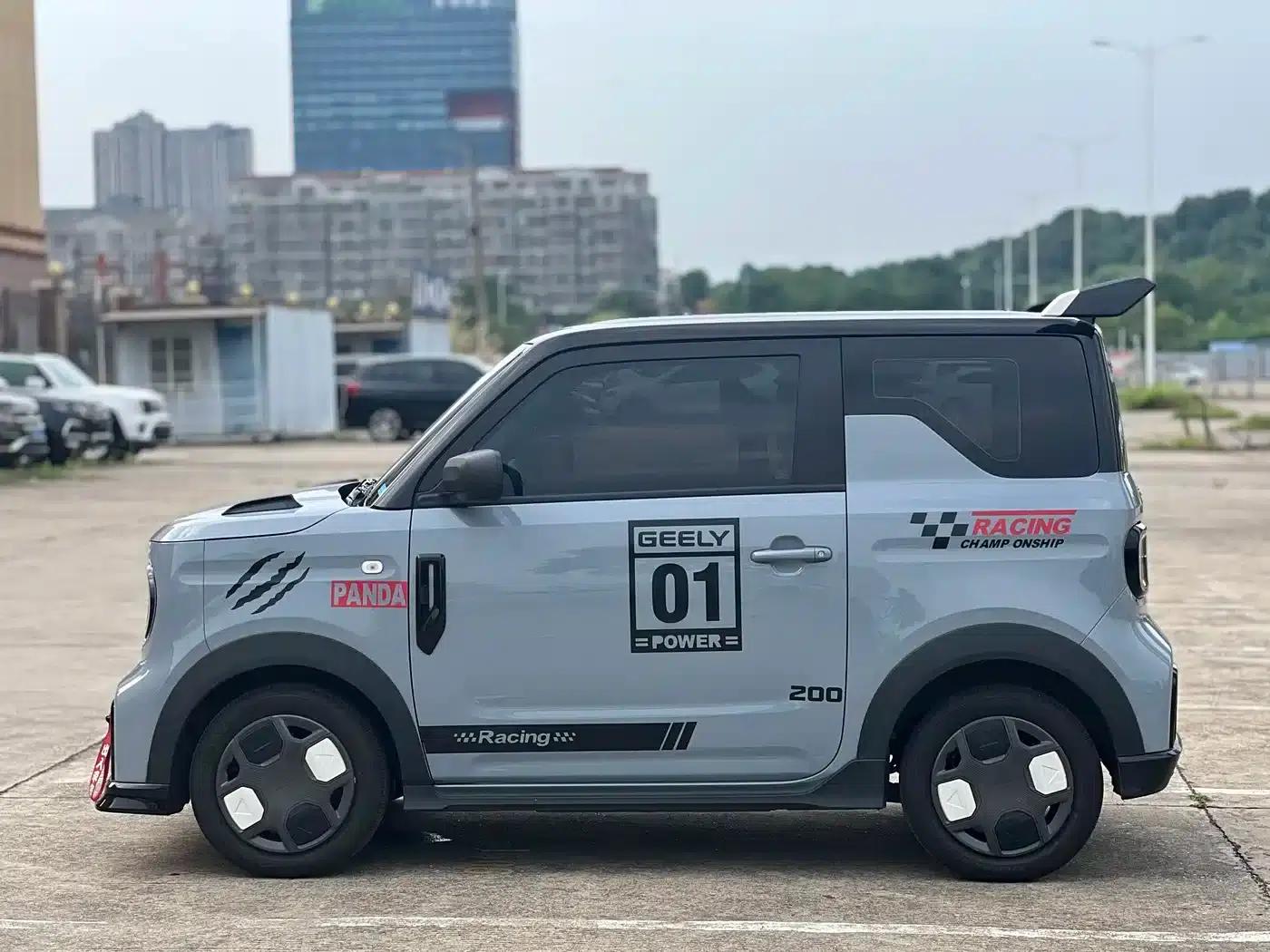 Panda 2025 Model 210km Panda Gokart — миниатюра 10