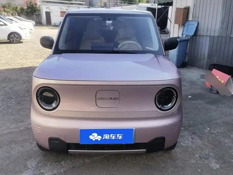 Panda 2024 Panda Mini 200km Dragon PRO Edition — миниатюра 2