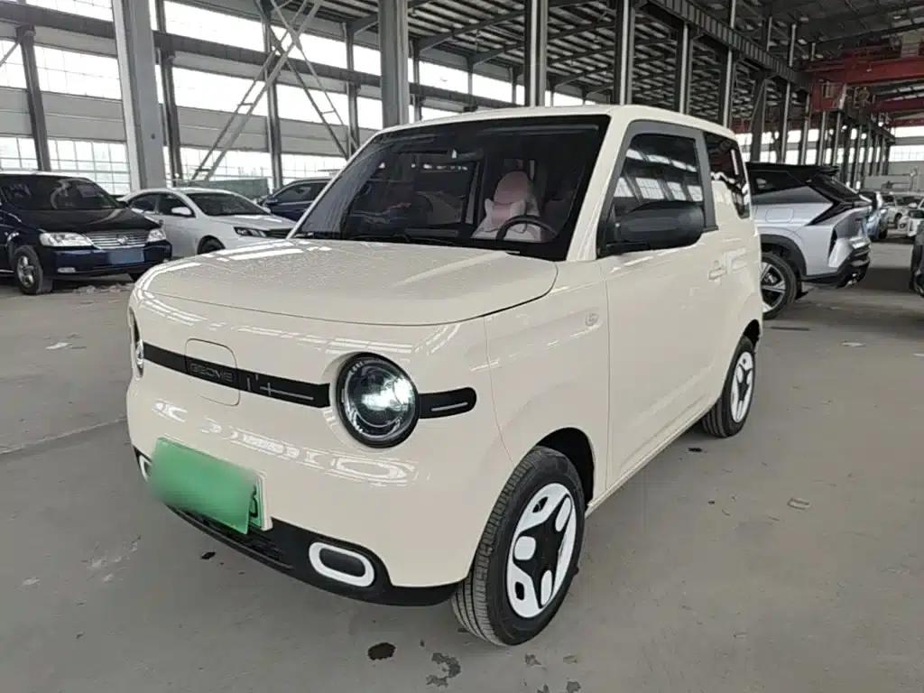 Panda 2025 Panda Mini 210km - Energetic Bear — миниатюра 2