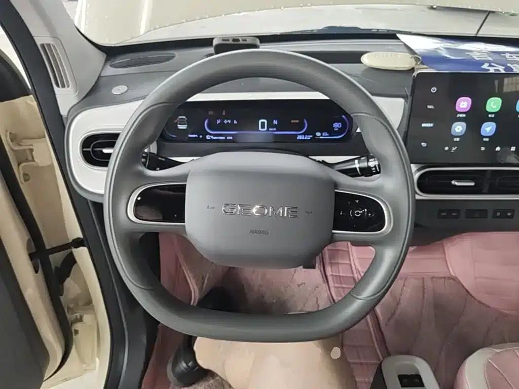 Panda 2025 Panda Mini 210km - Energetic Bear — миниатюра 11