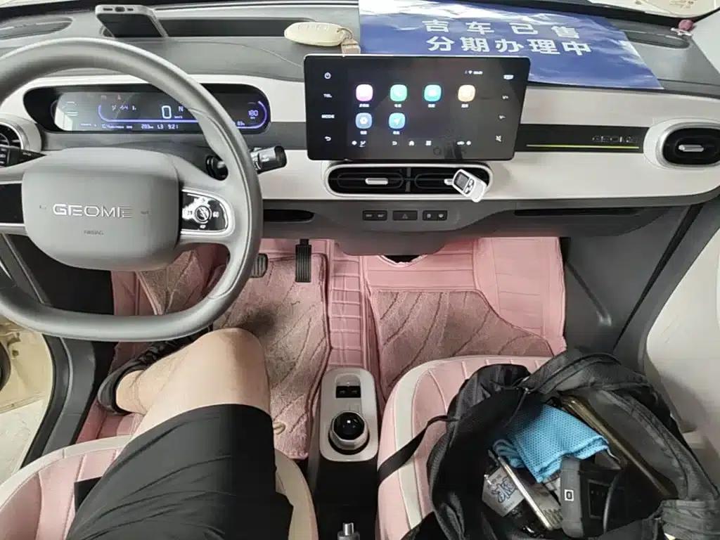 Panda 2025 Panda Mini 210km - Energetic Bear — миниатюра 13
