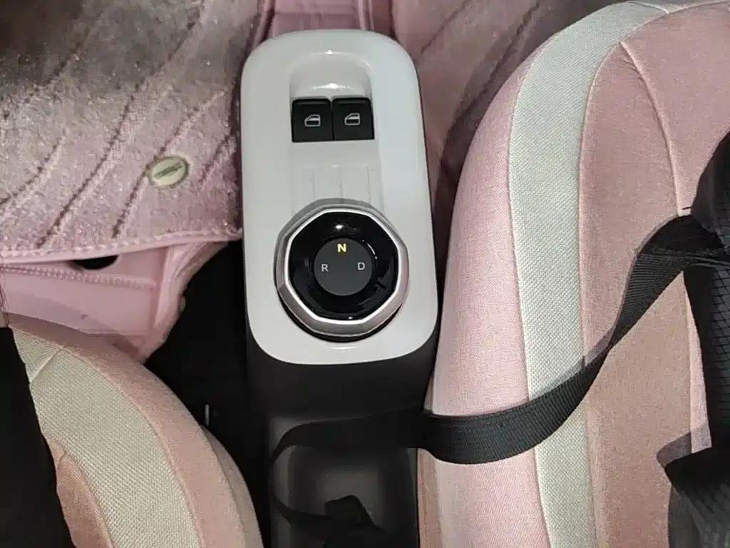 Panda 2025 Panda Mini 210km - Energetic Bear — миниатюра 14