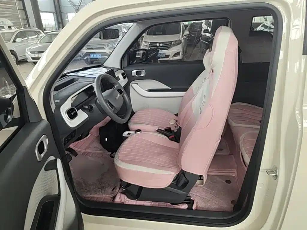 Panda 2025 Panda Mini 210km - Energetic Bear — миниатюра 15