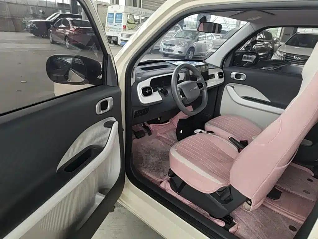 Panda 2025 Panda Mini 210km - Energetic Bear — миниатюра 16