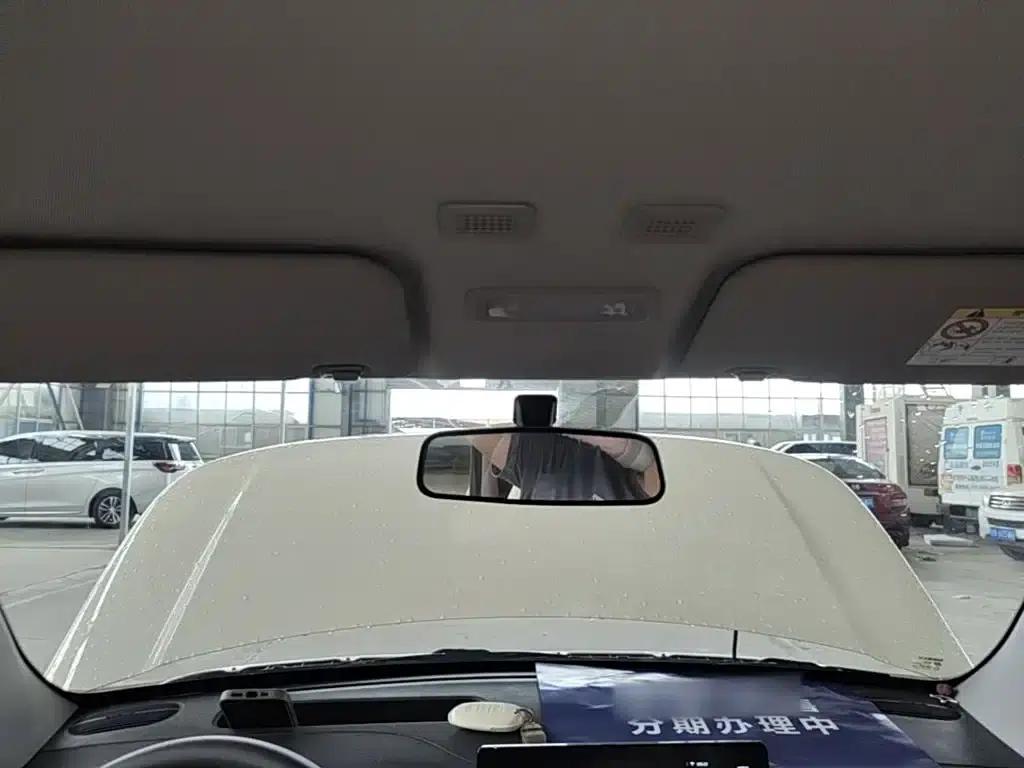 Panda 2025 Panda Mini 210km - Energetic Bear — миниатюра 18