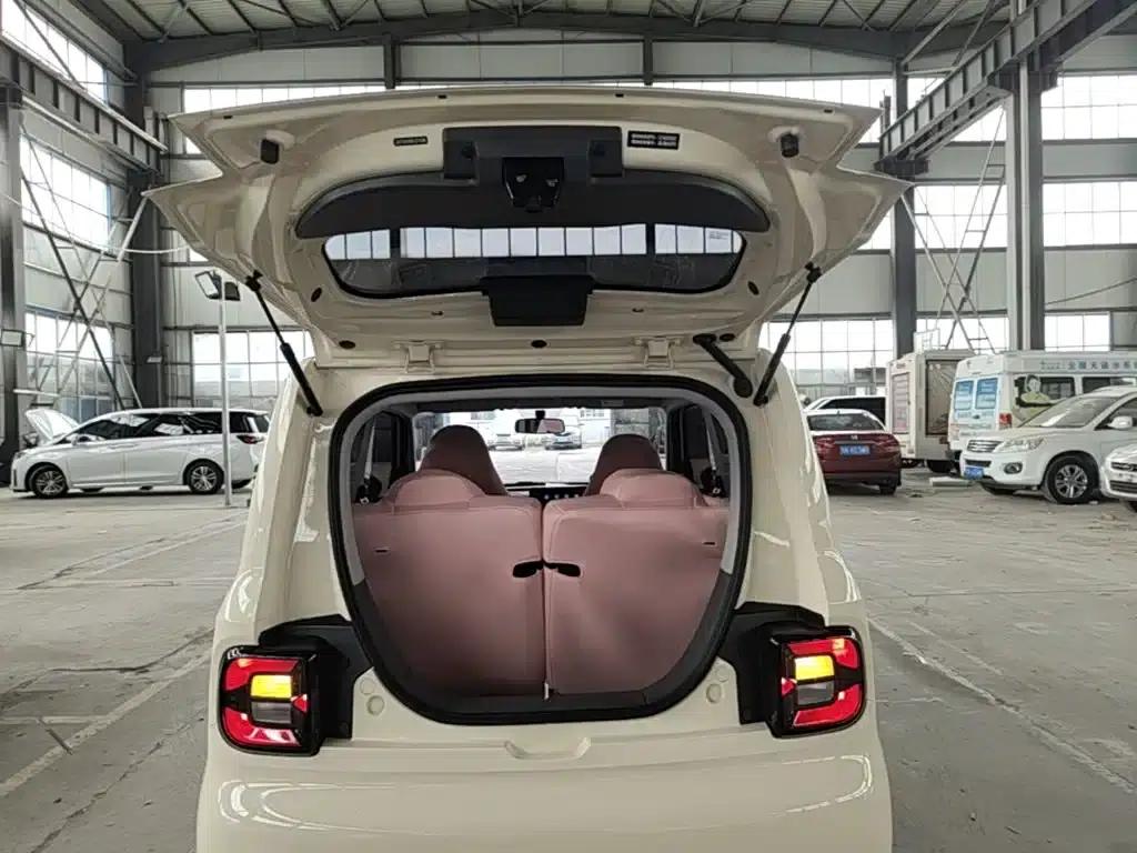 Panda 2025 Panda Mini 210km - Energetic Bear — миниатюра 19
