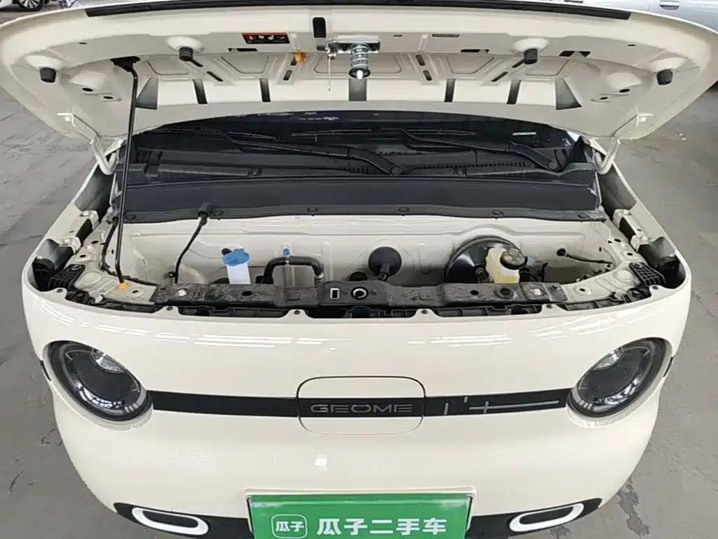 Panda 2025 Panda Mini 210km - Energetic Bear — миниатюра 20