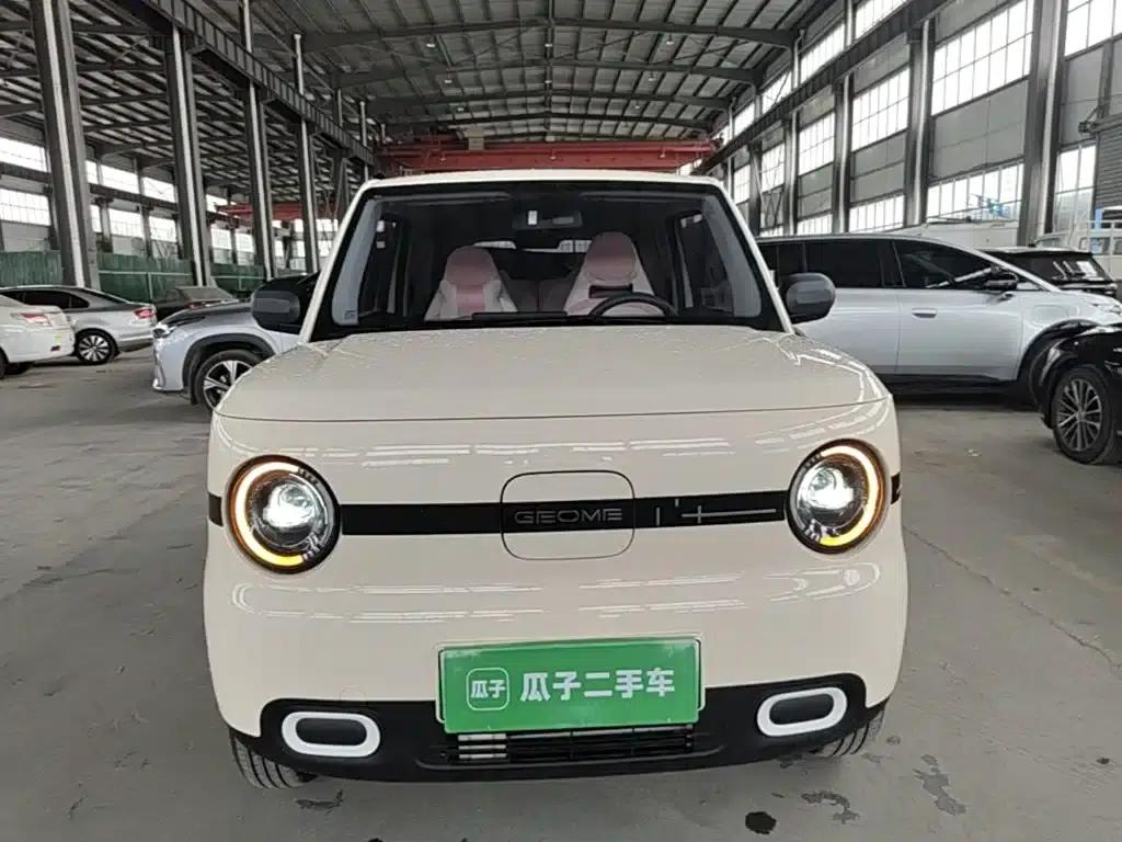 Panda 2025 Panda Mini 210km - Energetic Bear — миниатюра 3