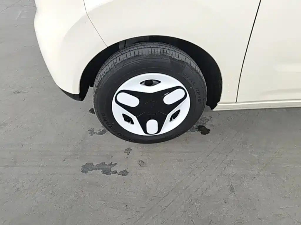 Panda 2025 Panda Mini 210km - Energetic Bear — миниатюра 23