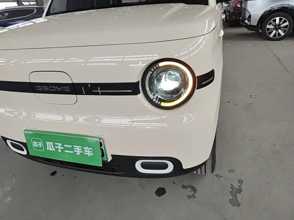 Panda 2025 Panda Mini 210km - Energetic Bear — миниатюра 24