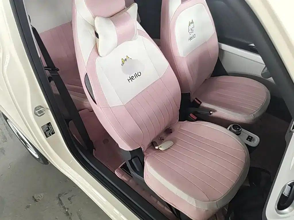 Panda 2025 Panda Mini 210km - Energetic Bear — миниатюра 25