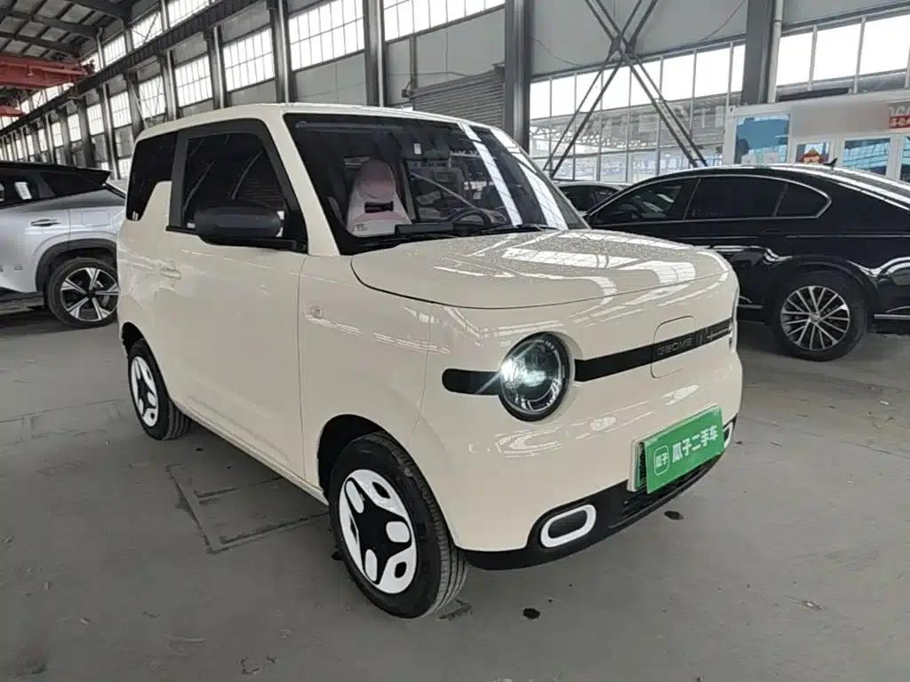Panda 2025 Panda Mini 210km - Energetic Bear — миниатюра 4