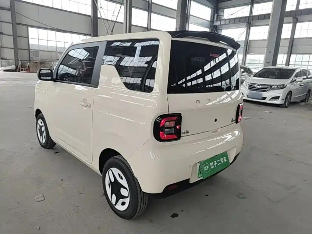 Panda 2025 Panda Mini 210km - Energetic Bear — миниатюра 5