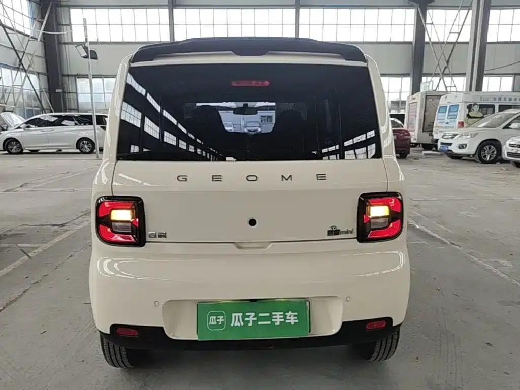 Panda 2025 Panda Mini 210km - Energetic Bear — миниатюра 6