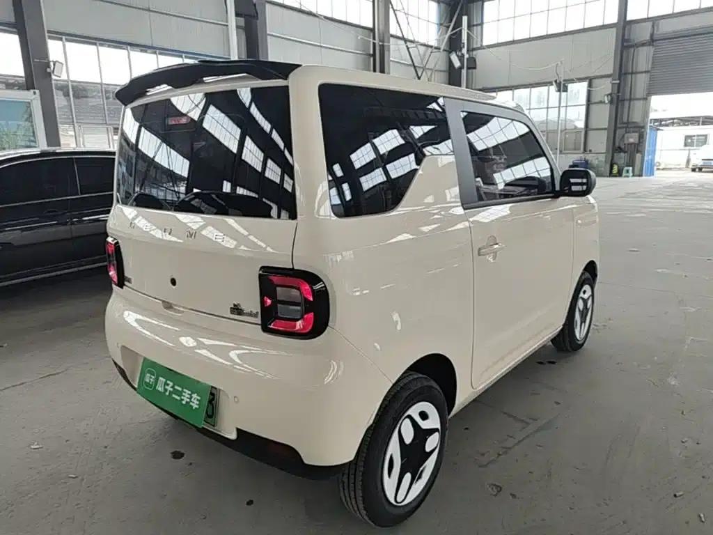 Panda 2025 Panda Mini 210km - Energetic Bear — миниатюра 7