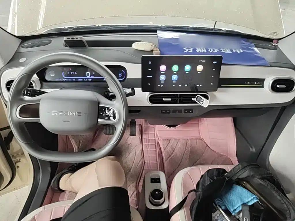 Panda 2025 Panda Mini 210km - Energetic Bear — миниатюра 10