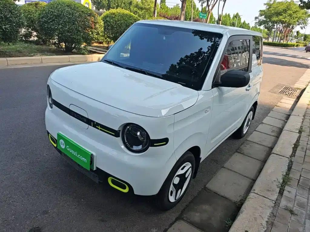 Panda 2025 Panda Mini 210km - Energetic Bear — миниатюра 2