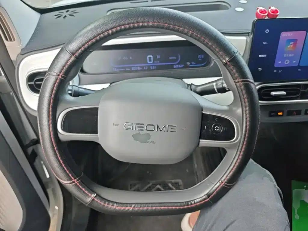 Panda 2025 Panda Mini 210km - Energetic Bear — миниатюра 11