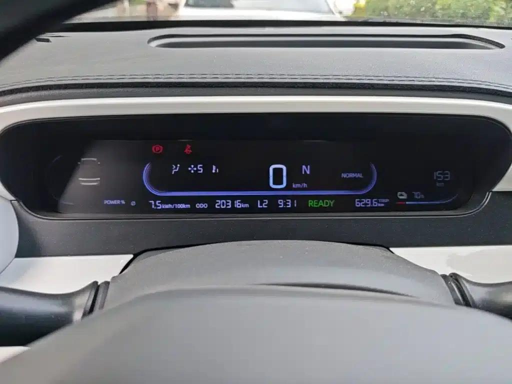 Panda 2025 Panda Mini 210km - Energetic Bear — миниатюра 12