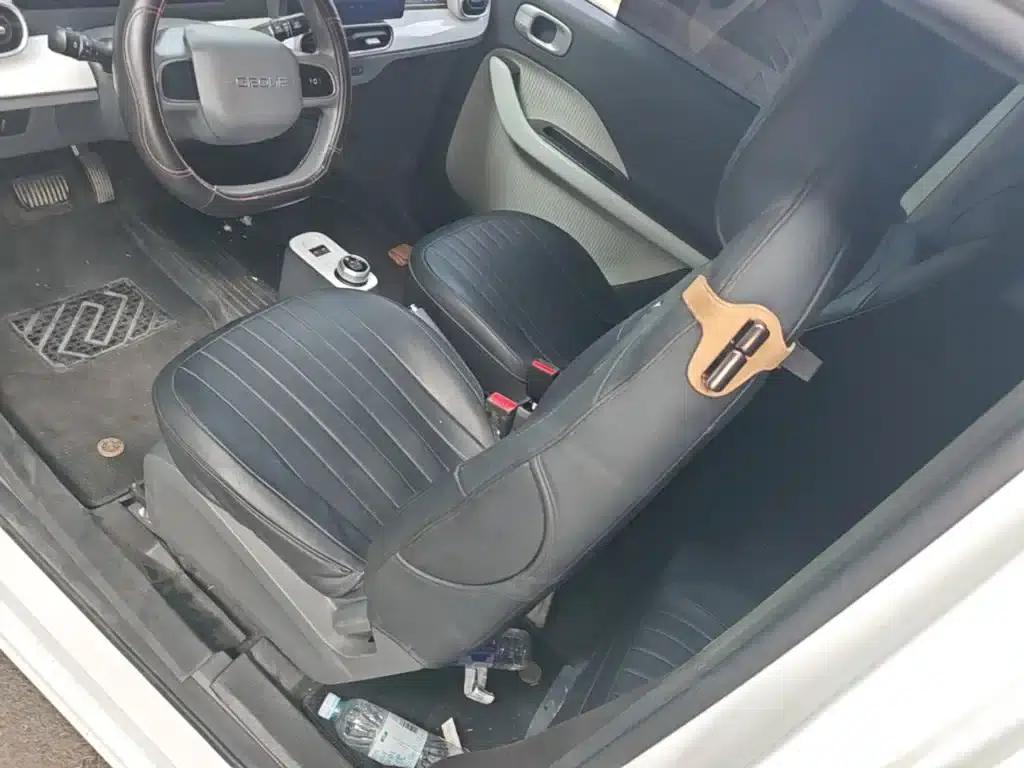 Panda 2025 Panda Mini 210km - Energetic Bear — миниатюра 15