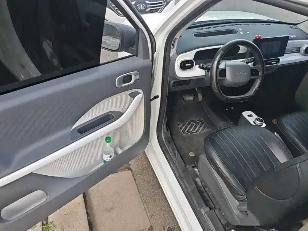 Panda 2025 Panda Mini 210km - Energetic Bear — миниатюра 16