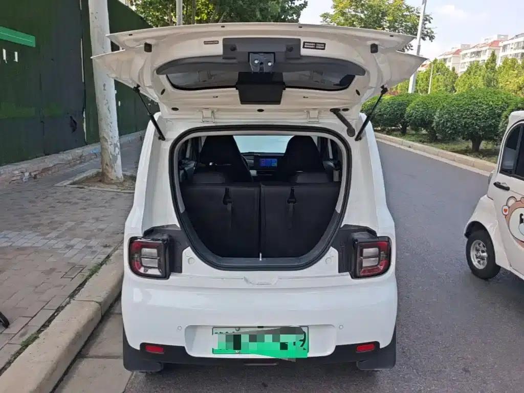 Panda 2025 Panda Mini 210km - Energetic Bear — миниатюра 19