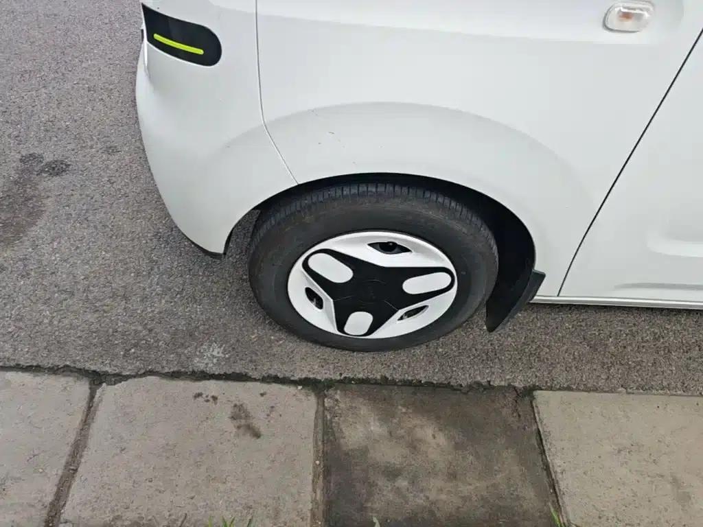 Panda 2025 Panda Mini 210km - Energetic Bear — миниатюра 23