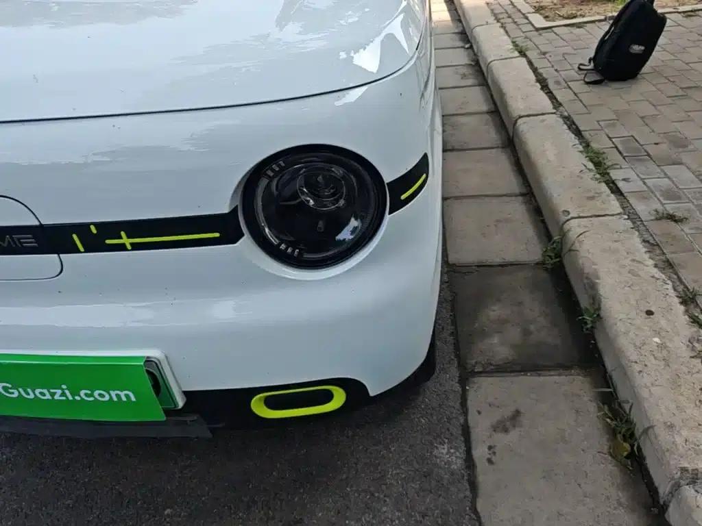 Panda 2025 Panda Mini 210km - Energetic Bear — миниатюра 24