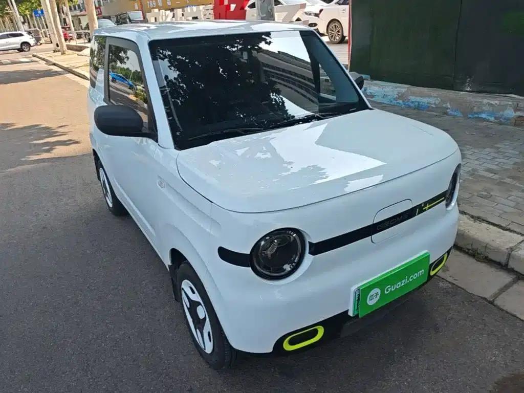 Panda 2025 Panda Mini 210km - Energetic Bear — миниатюра 4