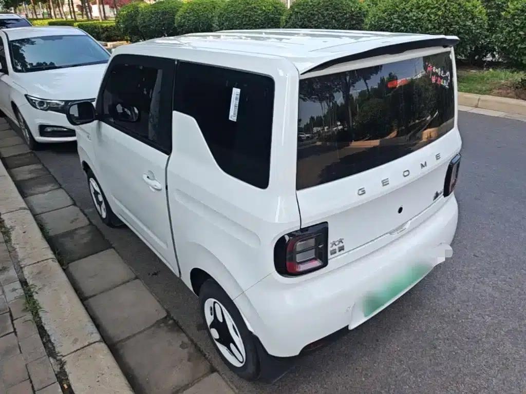Panda 2025 Panda Mini 210km - Energetic Bear — миниатюра 5