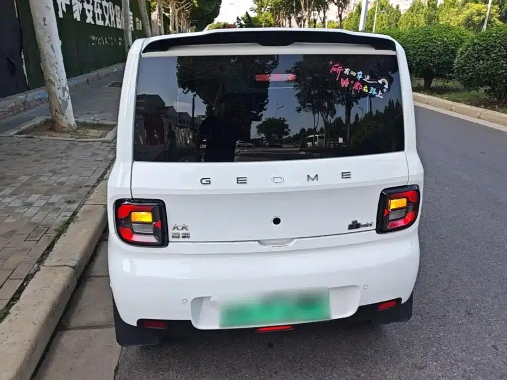 Panda 2025 Panda Mini 210km - Energetic Bear — миниатюра 6
