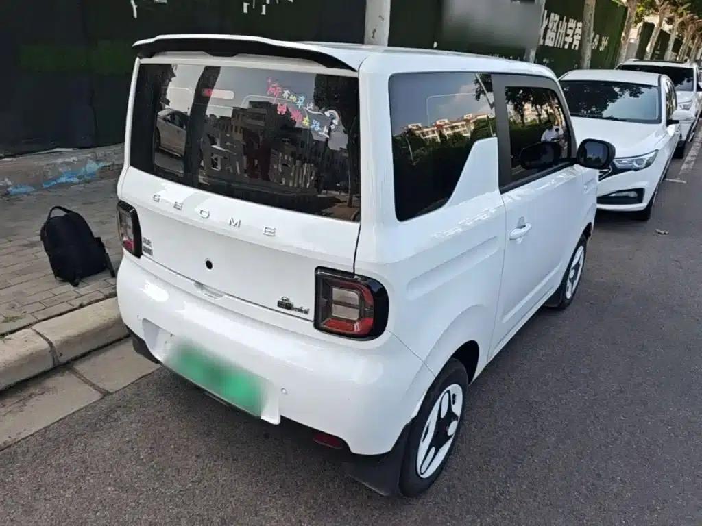 Panda 2025 Panda Mini 210km - Energetic Bear — миниатюра 7
