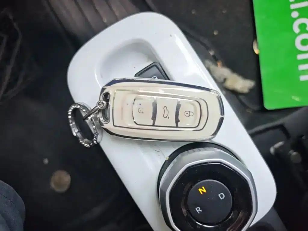 Panda 2025 Panda Mini 210km - Energetic Bear — миниатюра 9