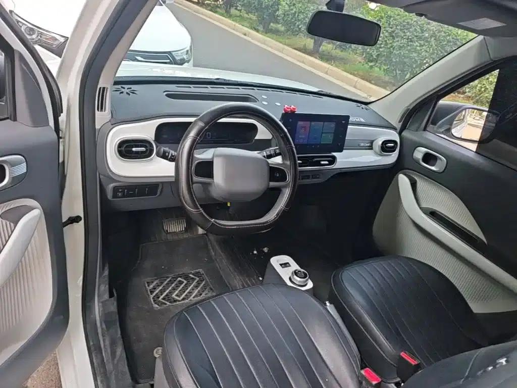 Panda 2025 Panda Mini 210km - Energetic Bear — миниатюра 10