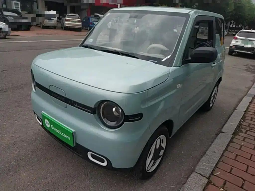 Panda 2025 Panda Mini 210km - Energetic Bear — миниатюра 2