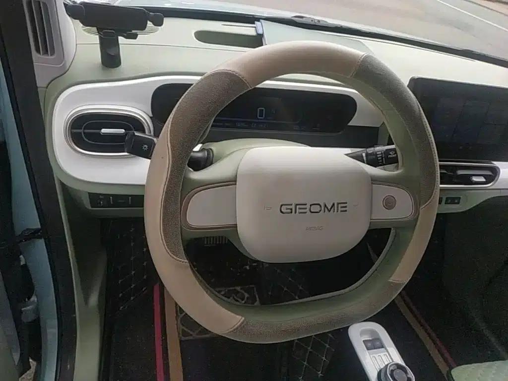 Panda 2025 Panda Mini 210km - Energetic Bear — миниатюра 11