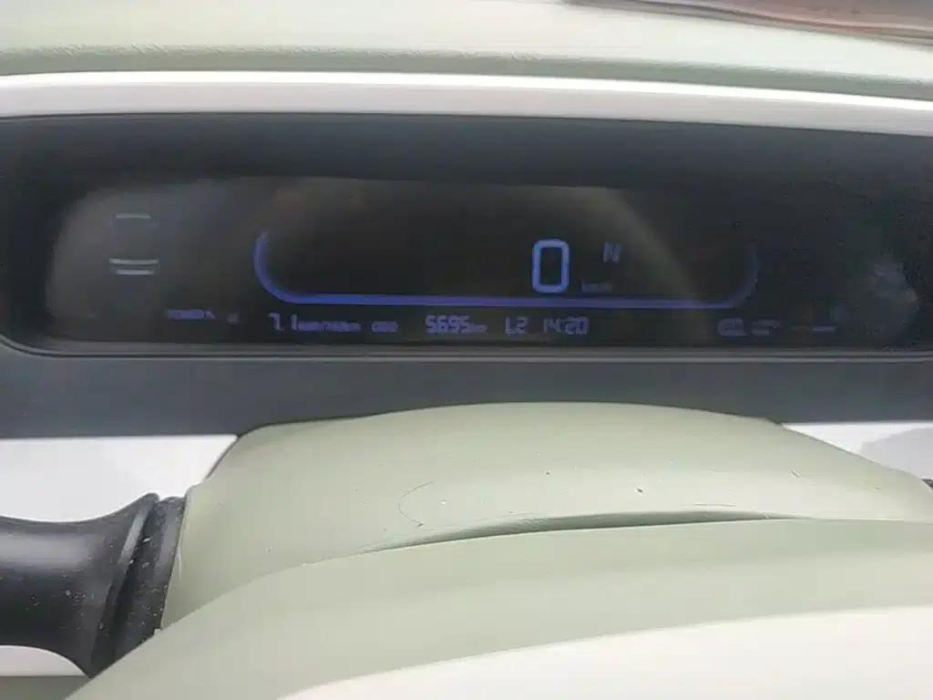 Panda 2025 Panda Mini 210km - Energetic Bear — миниатюра 12