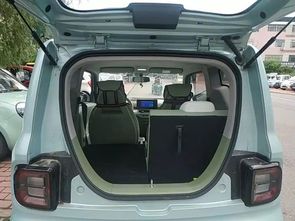Panda 2025 Panda Mini 210km - Energetic Bear — миниатюра 19
