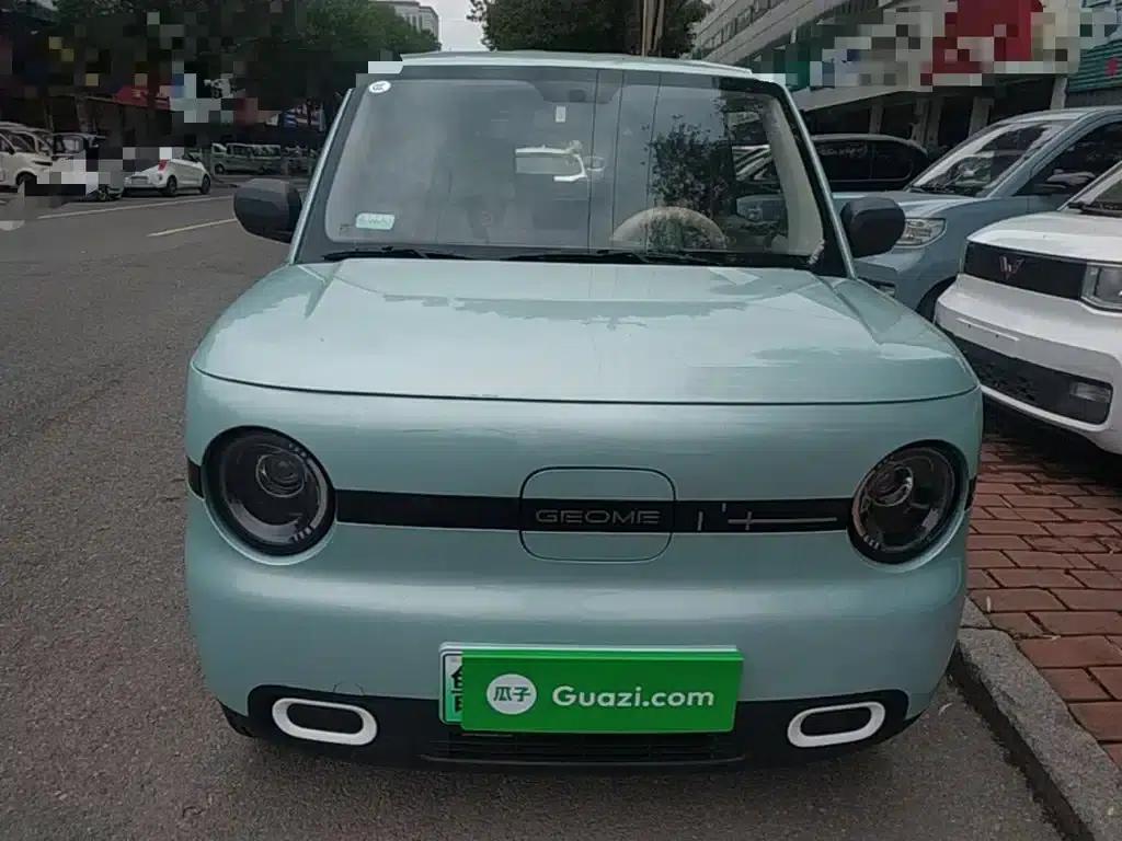 Panda 2025 Panda Mini 210km - Energetic Bear — миниатюра 3